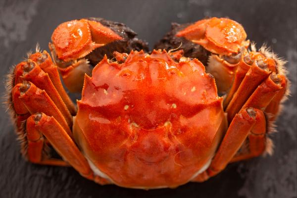 蒸螃蟹牢記3竅門,上鍋蒸都不用綁繩,不掉腿不流黃,鮮嫩又肥美 蒸螃蟹牢記3竅門,上鍋蒸都不用綁繩,不掉腿不流黃,鮮嫩又肥美