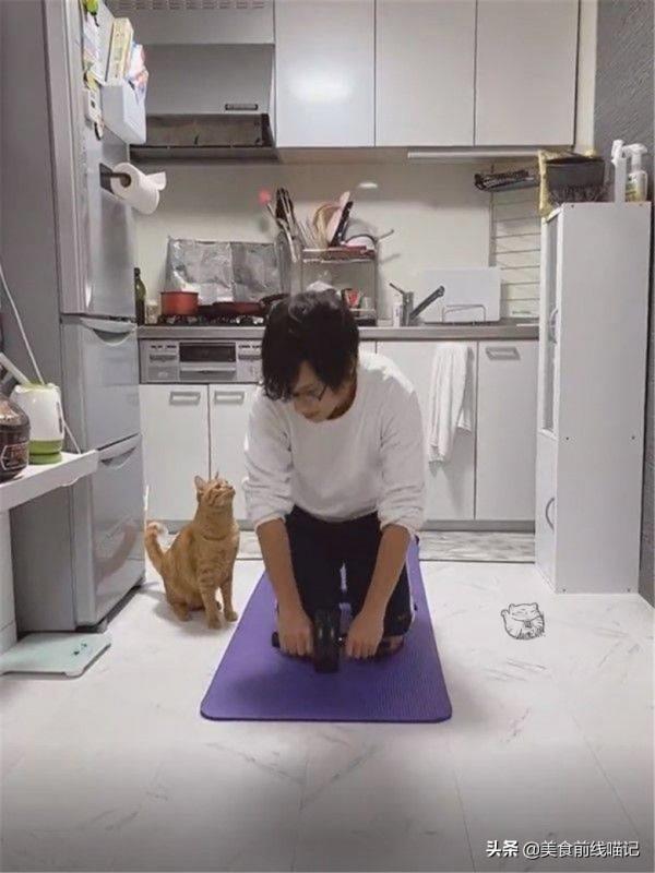 橘貓變成魔鬼教練，做運動的奴才：七公斤的負擔好重