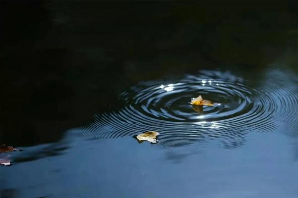 花鏡隨筆｜2022年的第一天