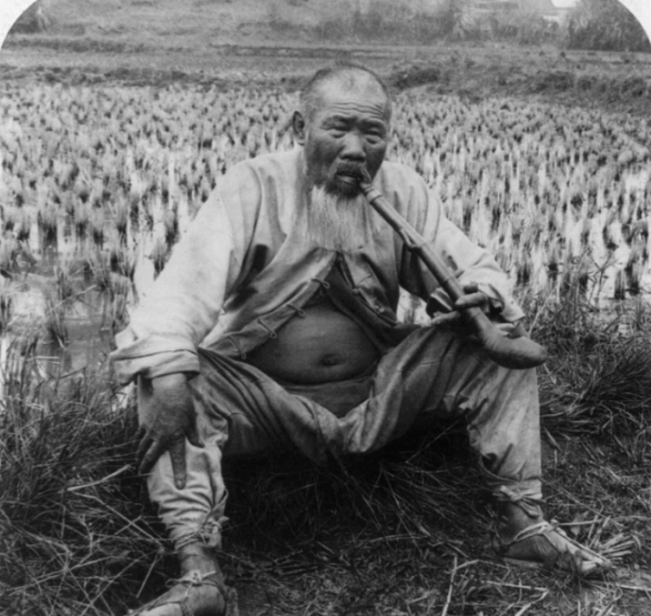 專家1800元,從農民手中買一捆“柴火”,如今成稀世珍寶,禁出境 專家1800元,從農民手中買一捆“柴火”,如今成稀世珍寶,禁出境