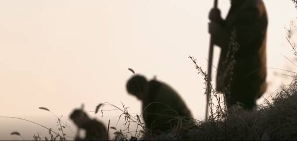 一場大雨衝出一座北周大墓,專家為何挖到一半,卻突然選擇撤離? 一場大雨衝出一座北周大墓,專家為何挖到一半,卻突然選擇撤離?