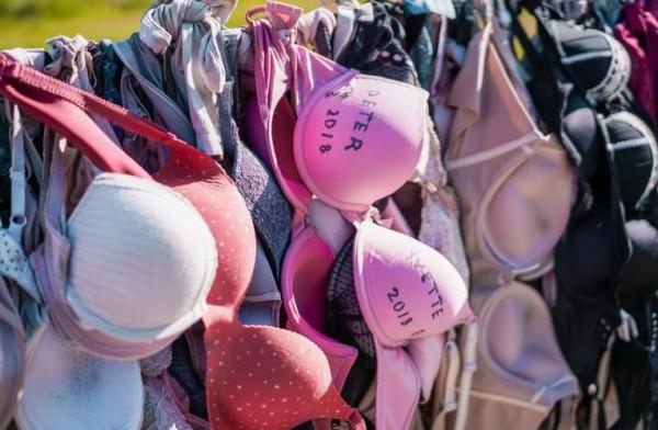 紐西蘭一奇葩景點，景點由一現象多年累積，有趣奇特令人驚奇