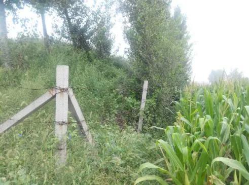 《柏鄉軼事》之 柏鄉縣境內的的“土疙瘩” 《柏鄉軼事》之 柏鄉縣境內的的“土疙瘩”