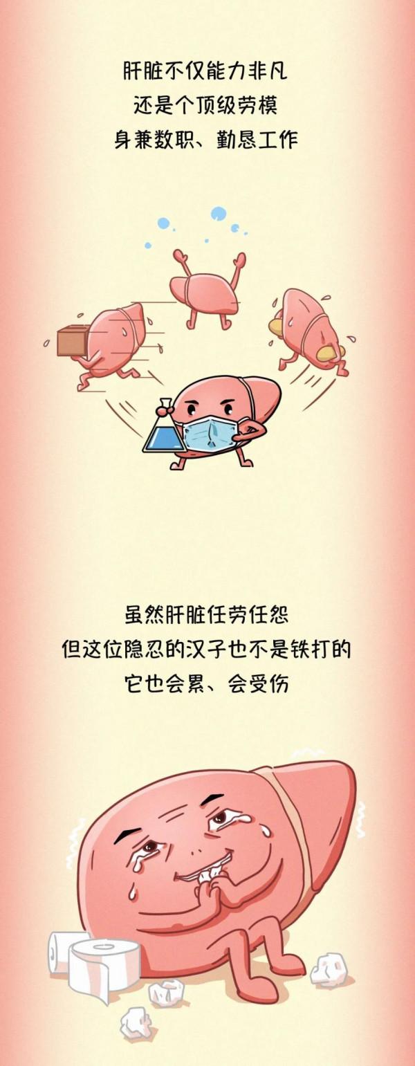 我們的肝臟是如何一步步受傷的？