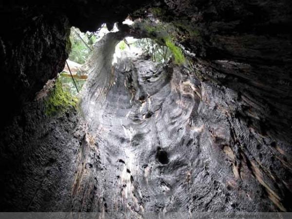 浙江十大冷門景點，人少景美好玩