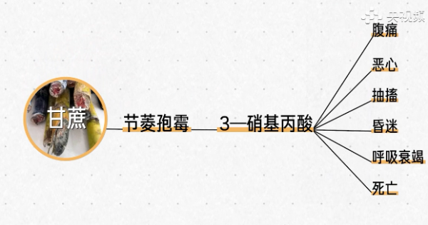 食物部分壞了還能吃嗎？關鍵得區分這幾種情況