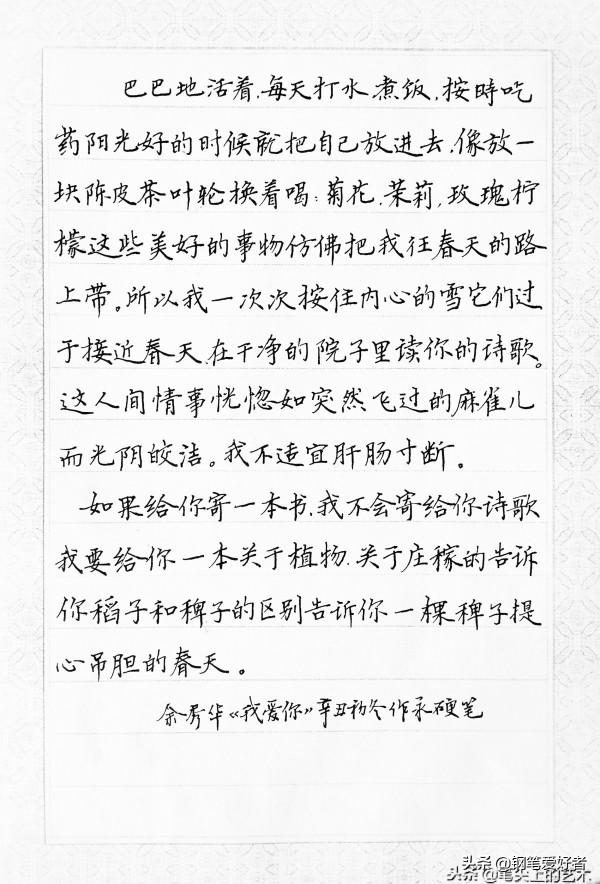 Evan Li點評餘秀華詩詞《我愛你》鋼筆字練字打卡作業欣賞