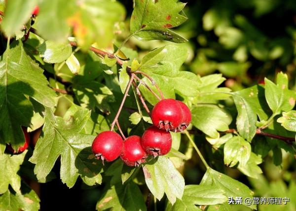 這3種水果口感不甜，糖分卻很高，吃著吃著就胖了