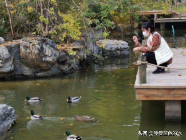 重遊北京動物園，覺得綠化美化比以前好了很多