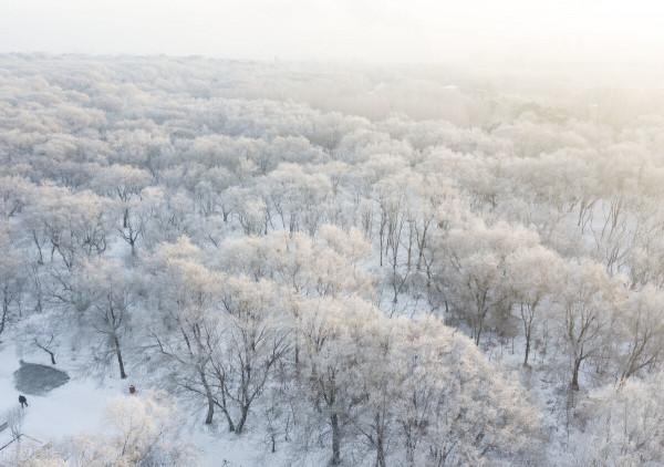 古今詩詞裡的雪