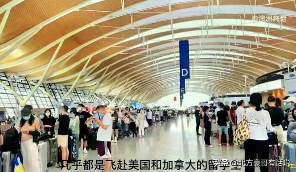 10萬元的天價機票擋不住赴美留學生的熱潮。尷尬、無奈…… 10萬元的天價機票擋不住赴美留學生的熱潮。尷尬、無奈……