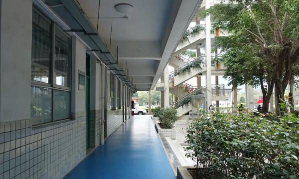 我走訪了很多深圳的中小學,幾乎每間教室都這樣:大白天的開著燈,然後拉著窗簾 我走訪了很多深圳的中小學,幾乎每間教室都這樣:大白天的開著燈,然後拉著窗簾