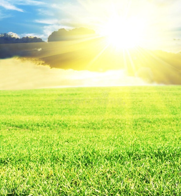 抑鬱家庭恢復的日常（五十四）