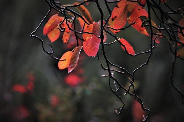 77歲老人走到生命盡頭,才明白人的一生缺的不是錢和愛,而是自愛 77歲老人走到生命盡頭,才明白人的一生缺的不是錢和愛,而是自愛