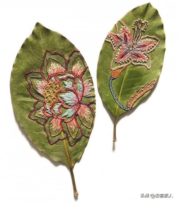 充滿創意和活力的植物刺繡,為幹葉標本增色不少 充滿創意和活力的植物刺繡,為幹葉標本增色不少