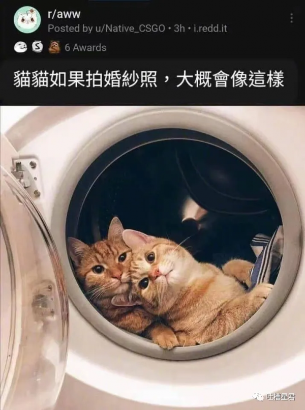 在北京買了套48㎡的三室四廳?!裝修給我看傻了 在北京買了套48㎡的三室四廳?!裝修給我看傻了