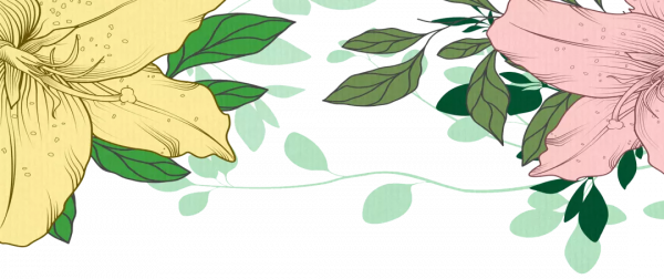 北京生物圖鑑 | 中華蟾蜍 北京生物圖鑑 | 中華蟾蜍