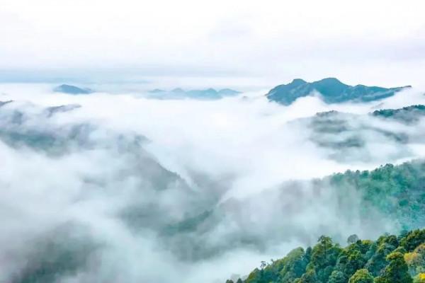 人間仙境！雨後的三百山美哭了……