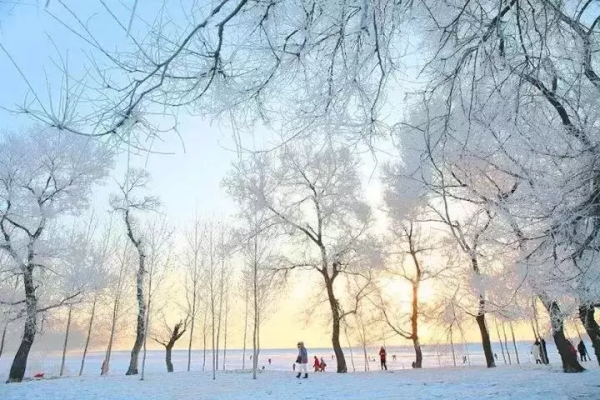 等疫情過去了，這11個最美的旅行地，我一定還要說走就走