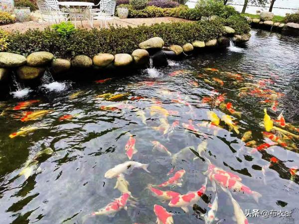 太湖邊熟人的莊園 太湖邊熟人的莊園
