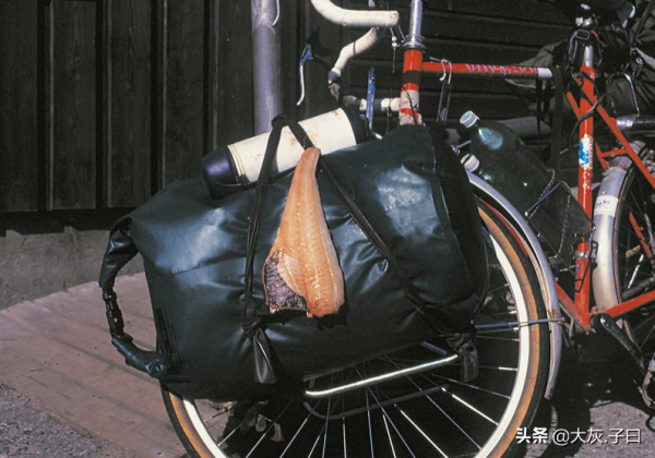 面對《不去會死》，你會如何選擇？