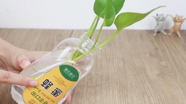 家裡有空瓶子的別再丟了，竟然還有這4大用途，放家裡省錢又方便