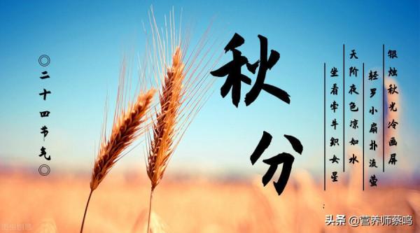 秋天,燥氣當頭,養好肺 秋天,燥氣當頭,養好肺