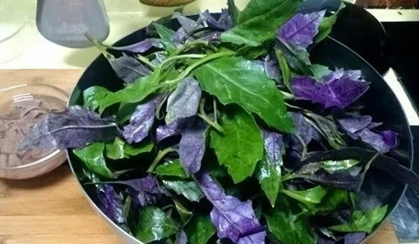 集體闢謠！大家別再相信了