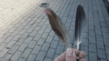 令人驚歎!30張震撼的對比照,看完姿勢大漲 令人驚歎!30張震撼的對比照,看完姿勢大漲