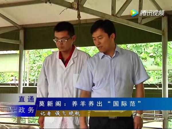 在農村創業,改造集裝箱來養小羊羔,一年能賺上3萬,你信嗎? 在農村創業,改造集裝箱來養小羊羔,一年能賺上3萬,你信嗎?