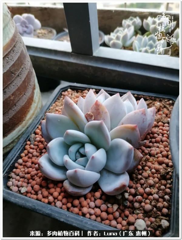 學會和解:與自己、與他人、與世界 學會和解:與自己、與他人、與世界