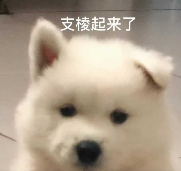 iPhone訊號問題爭議不斷！將不再支援2/3G