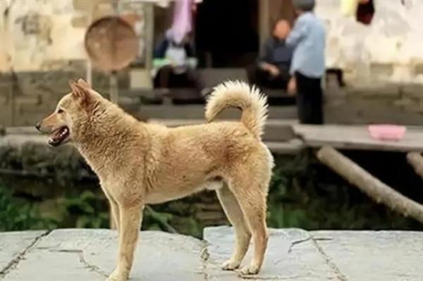 中國到底有多少奇蹟?連中國人都很少聽說的“中國十大世界之最” 中國到底有多少奇蹟?連中國人都很少聽說的“中國十大世界之最”