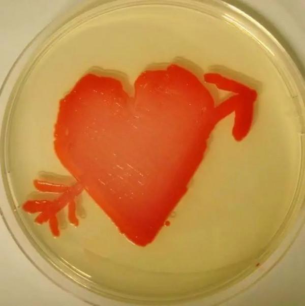 熱點 | 情人節表白,科學界已內捲成這樣?趕緊學起來 熱點 | 情人節表白,科學界已內捲成這樣?趕緊學起來