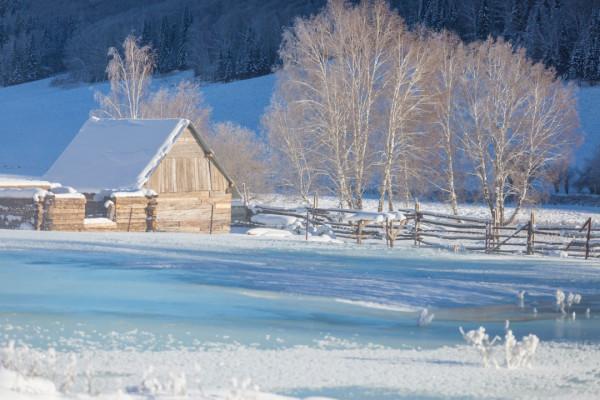 多少人的夢想!湖南姑娘用5年,在新疆禾木打造了個絕美花園 多少人的夢想!湖南姑娘用5年,在新疆禾木打造了個絕美花園