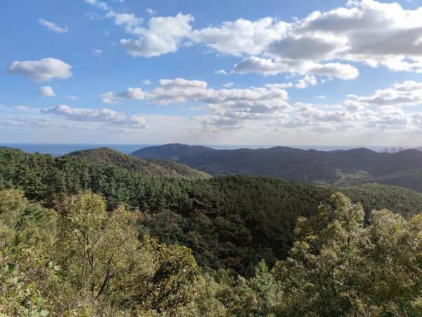 時尚CS75遇上秋天的海邊風光 時尚CS75遇上秋天的海邊風光