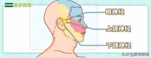 80歲老太太頭痛60年，悔言真不該次次“好了傷疤忘了疼”