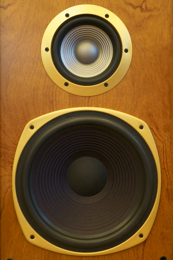 顏值音質都過關，這個落地箱配膽機我給滿分