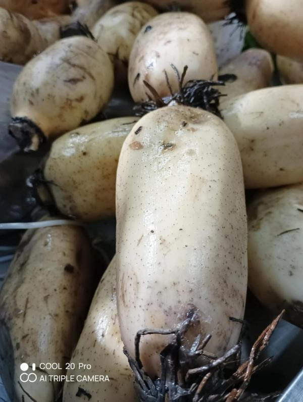 深度體驗cool 20pro拍照技術 深度體驗cool 20pro拍照技術