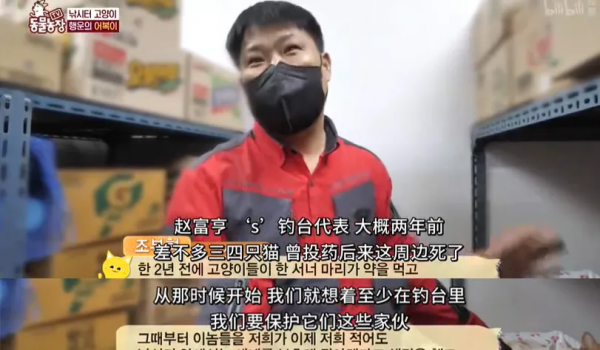 當貓遇到釣魚的阿姨,竟被利用,成了“招大魚”的工具貓 當貓遇到釣魚的阿姨,竟被利用,成了“招大魚”的工具貓