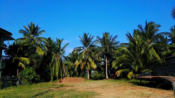 斯里蘭卡之旅(17)蒂瑟默哈拉默 斯里蘭卡之旅(17)蒂瑟默哈拉默