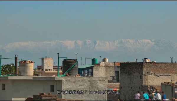 這就是2020年人們居家避疫，給大自然帶來的真實變化，值得深思