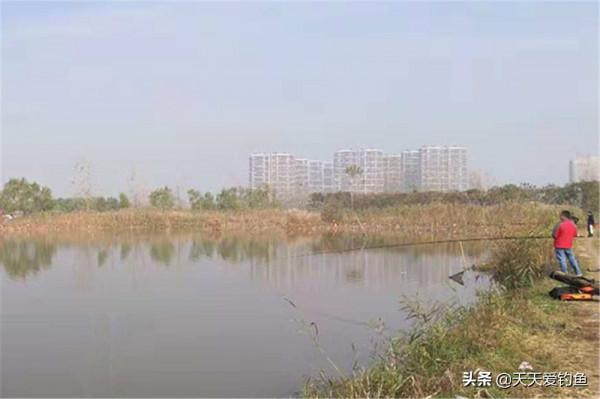 過了冬至天寒地凍,魚不愛開口,用這5個逗釣技巧,輕鬆撬開魚嘴 過了冬至天寒地凍,魚不愛開口,用這5個逗釣技巧,輕鬆撬開魚嘴