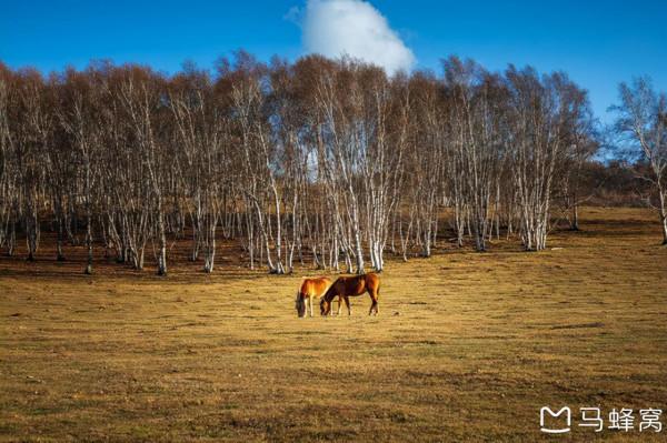 三天三季-我的烏蘭布統之旅 第三篇