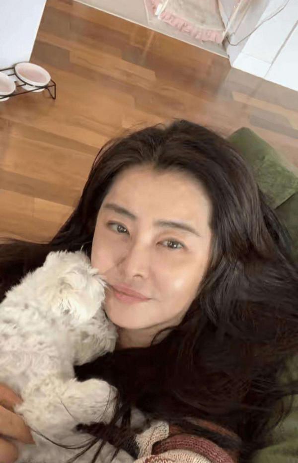 “頂級美人”的尷尬現狀：大多不願自然老去，一個比一個臉僵