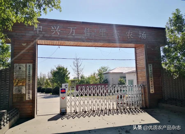 O2O2F互動生態種養:食享未來 用網際網路實現個性化的訂單農業 O2O2F互動生態種養:食享未來 用網際網路實現個性化的訂單農業