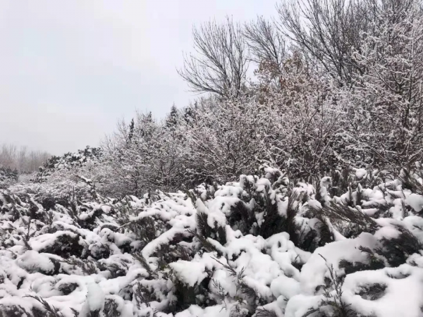 朝陽遊園推薦：北小河公園