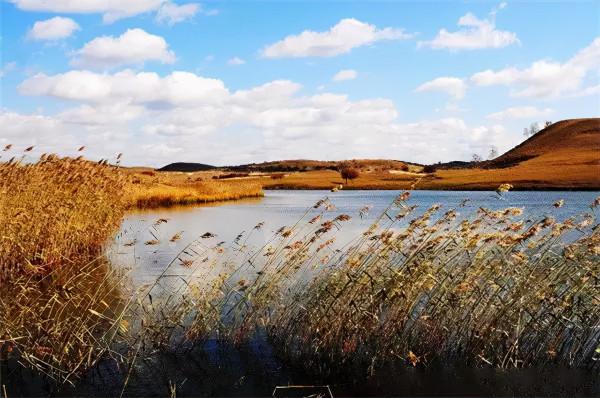 未來2個月,這些地方將美成天堂!再一場旅行,2021才完美 未來2個月,這些地方將美成天堂!再一場旅行,2021才完美