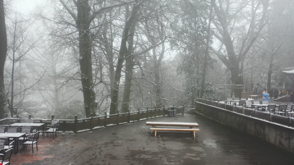 美呆了！冰雪世界蒙頂山！