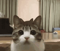 《一念逍遙》月入4億！商業化創收是雷霆遊戲的模式驗證嗎？